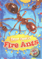Fire Ants