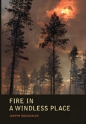 Fire In A Windless Place