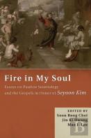 Fire In My Soul