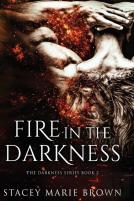 Fire In The Darkness