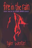 Fire In The Rain (Book Two In The Stray Spark Series)