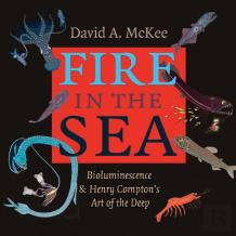 Fire In The Sea