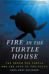 Fire In The Turtle House