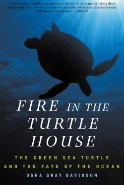 Bertrand.pt - Fire In The Turtle House