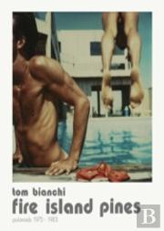 Fire Island Summers. Polaroids, 1978-1983