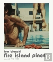 Fire Island Summers. Polaroids, 1978-1983