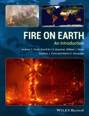 Fire On Earth