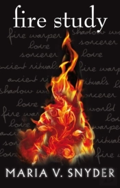 Fire Study