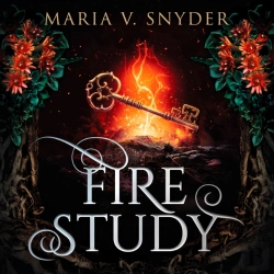 Bertrand.pt - Fire Study