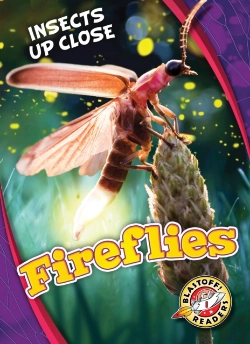 Bertrand.pt - Fireflies