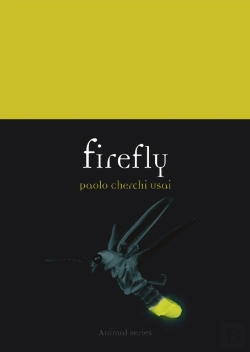 Bertrand.pt - Firefly