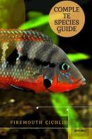 Firemouth Cichlid