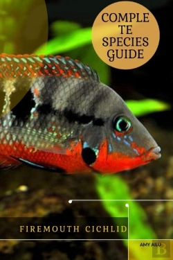 Bertrand.pt - Firemouth Cichlid