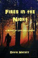 Fires In The Night