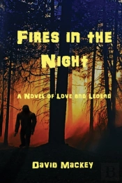 Fires In The Night