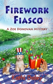 Firework Fiasco