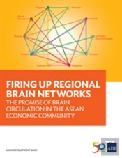Firing Up Regional Brain Networks