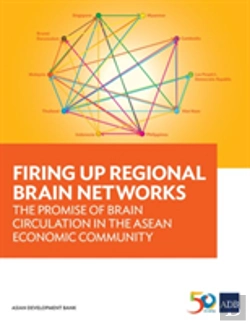 Bertrand.pt - Firing Up Regional Brain Networks
