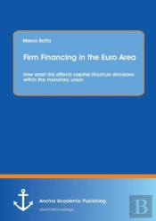 Firm Financing In The Euro Area