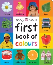 First 100 Book Of Colours