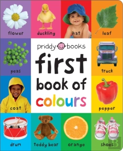 Bertrand.pt - First 100 Book Of Colours