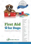 First Aid For Dogs