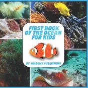 First Book Of The Ocean For Kids