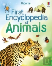 First Encyclopedia Of Animals