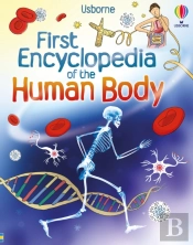 First Encyclopedia Of The Human Body