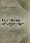 First Forms Of Vegetation
