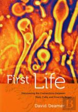 First Life