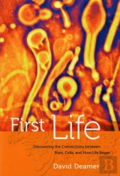 First Life