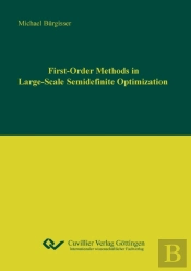 First-Order Methods In Large-Scale Semidenite Optimization