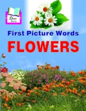 First Picture Words