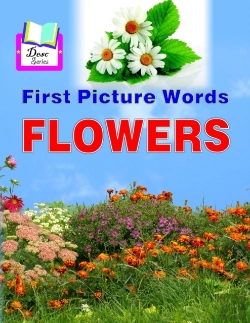 Bertrand.pt - First Picture Words