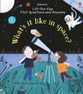 First Questions And Answers: What'S It Like In Space?