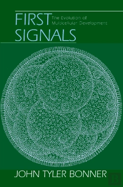 Bertrand.pt - First Signals