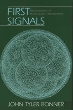 Bertrand.pt - First Signals