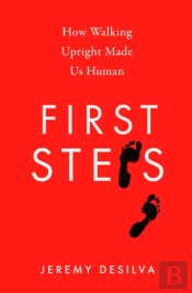 First Steps