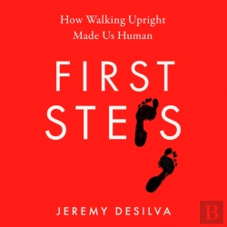 Bertrand.pt - First Steps