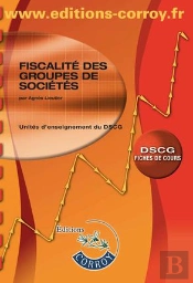 Fiscalite Des Groupes De Societes (Fiches De Cours)