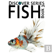 Fish 3