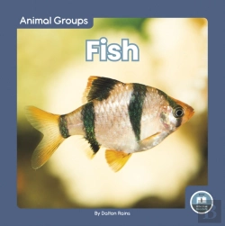 Bertrand.pt - Fish