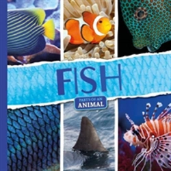 Bertrand.pt - Fish
