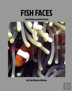 Bertrand.pt - Fish Faces