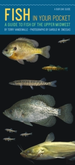 Bertrand.pt - Fish In Your Pocket