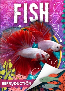 Bertrand.pt - Fish