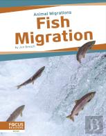 Fish Migration