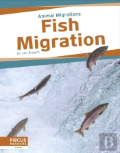 Fish Migration