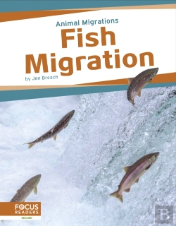 Bertrand.pt - Fish Migration